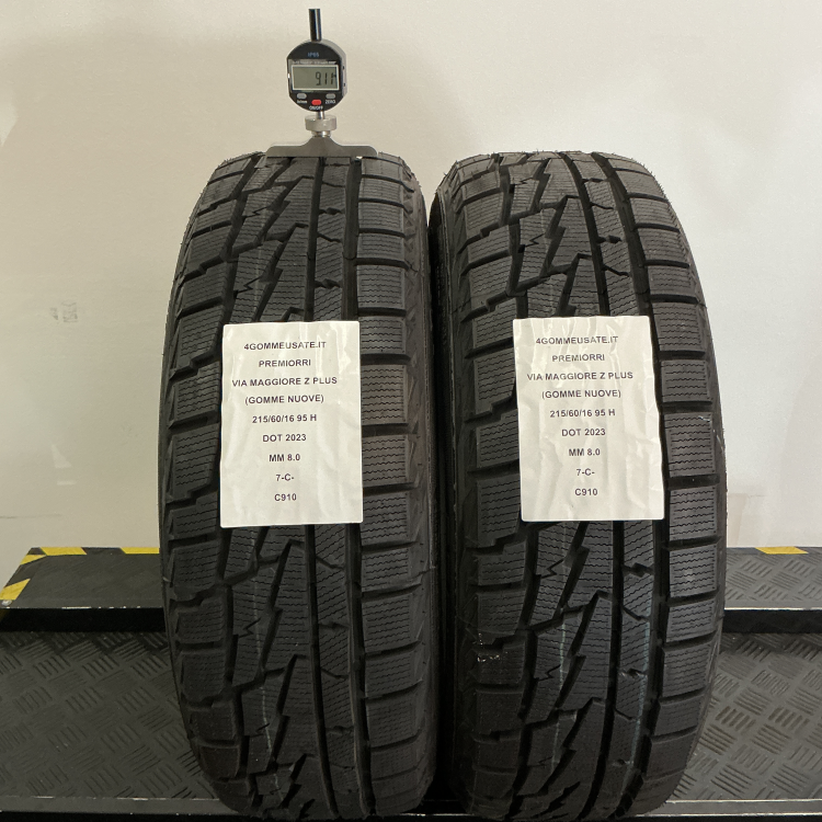 winter-215-60-16-95-H-c910